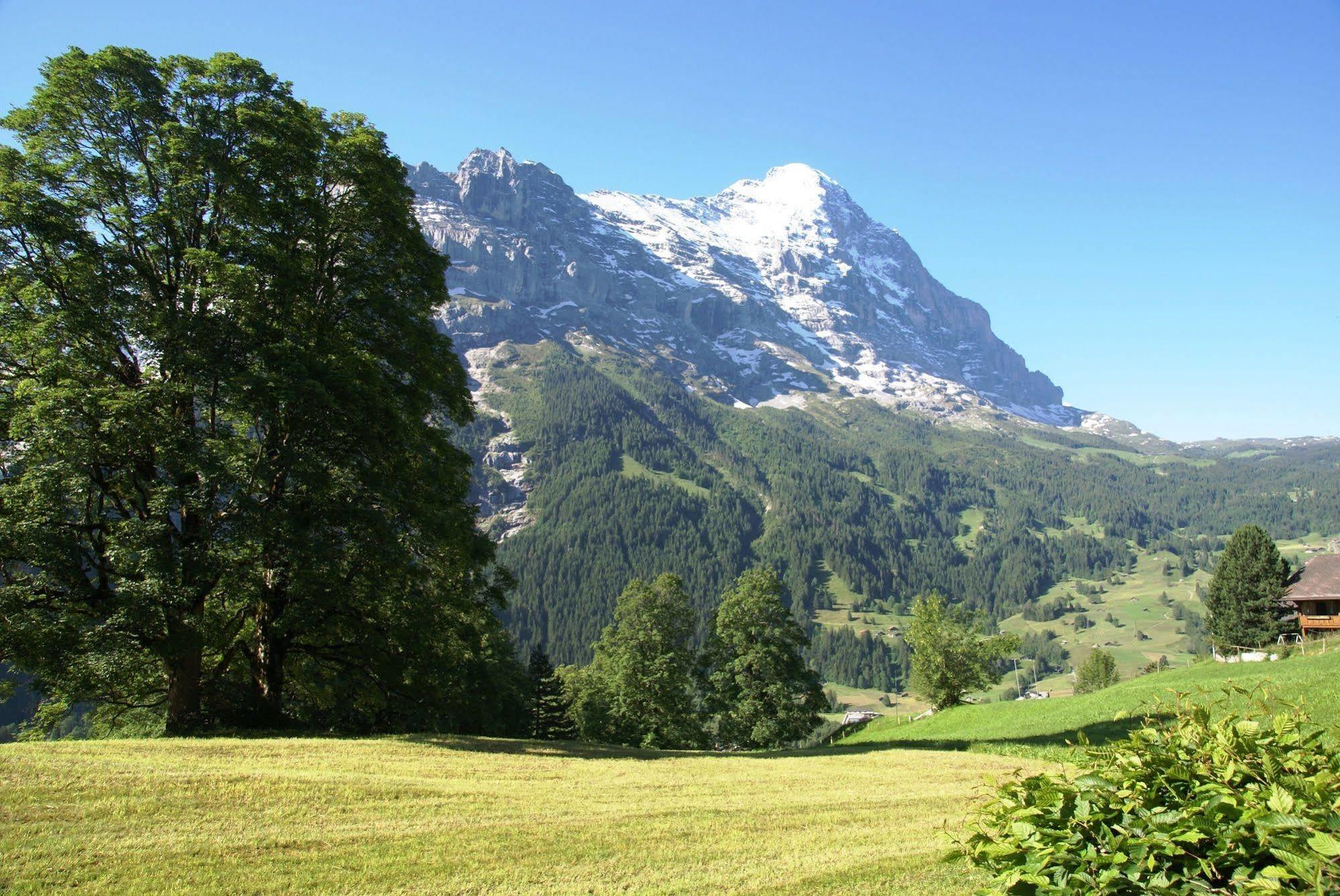 Apartment Nussbaum - Griwa Rent Ag Grindelwald Dış mekan fotoğraf